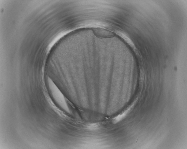 X0000087710936200706011806