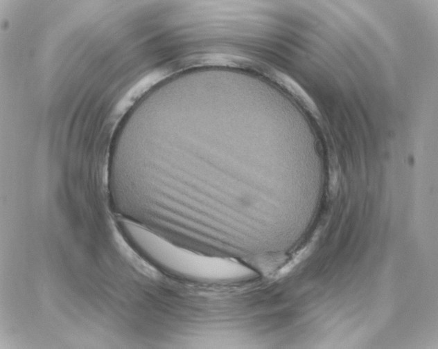 X0000087710938200706011806