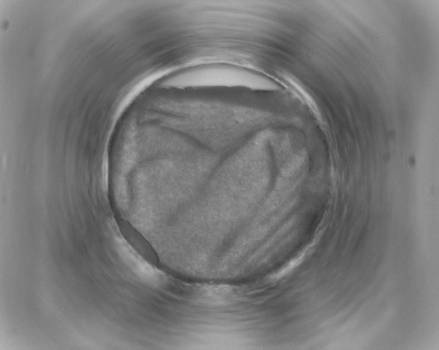 X0000087710940200706011806