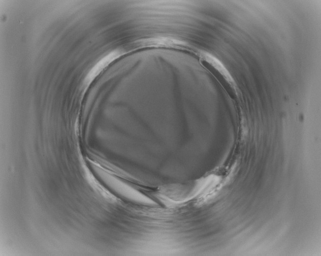 X0000087710946200706011806