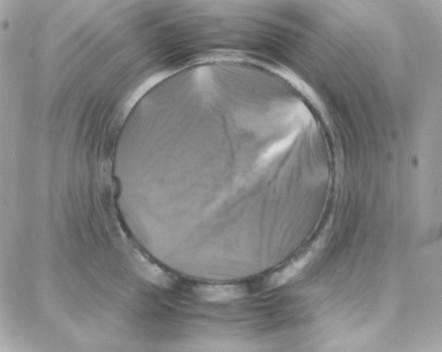 X0000087710953200706011806