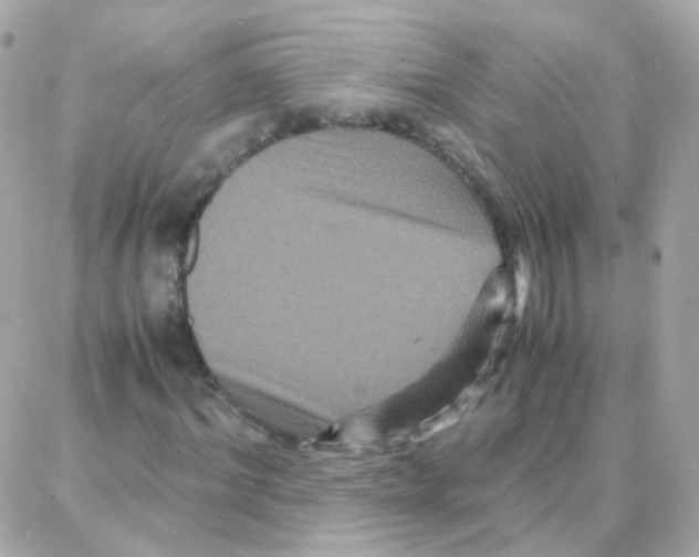 X0000087710964200706011806