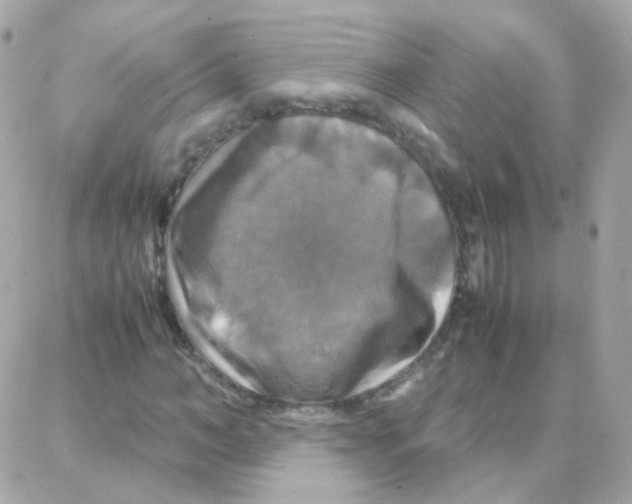 X0000087710966200706011806
