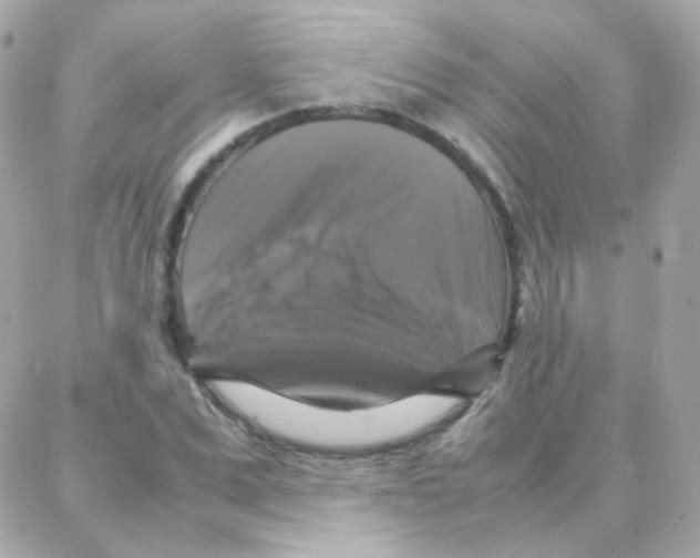 X0000087710975200706011805