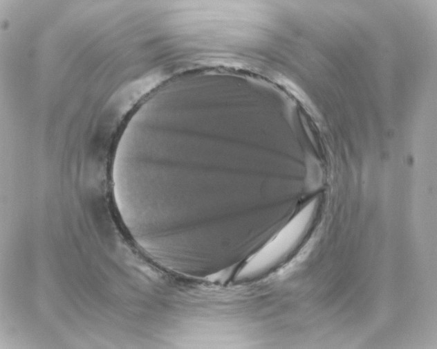 X0000087710977200706011805