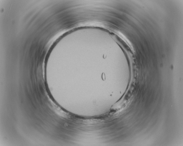 X0000087710988200706011805