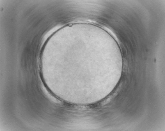 X0000087711003200706011805