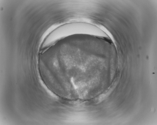 X0000087711005200706011805