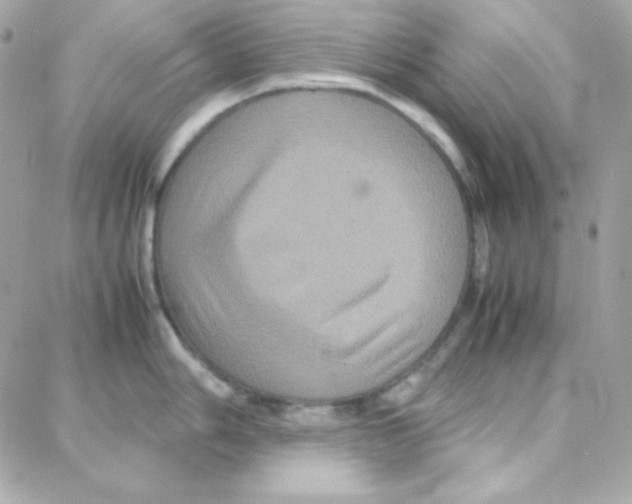 X0000087711006200706011805