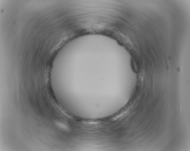 X0000087711012200706011804