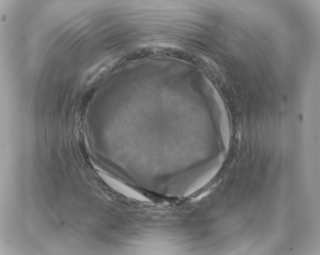 X0000087711014200706011804