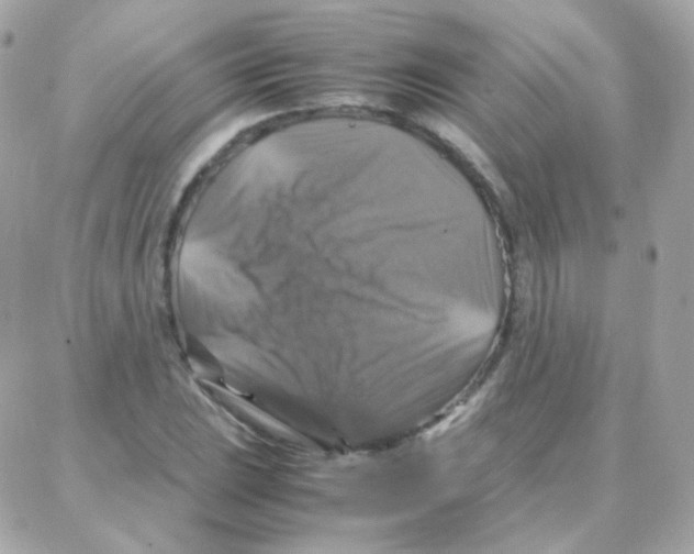 X0000087711023200706011804
