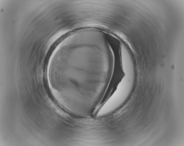 X0000087711024200706011804