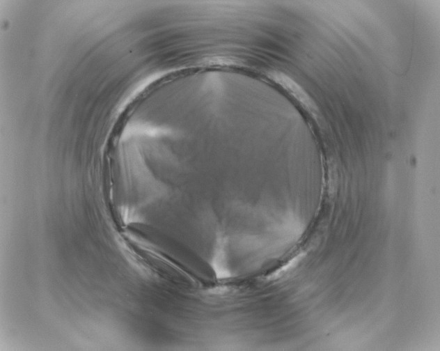 X0000087711031200706011804