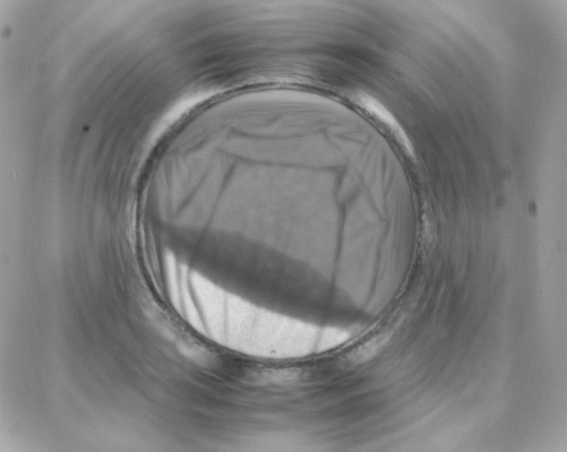 X0000087711035200706011804