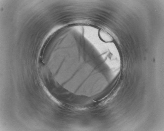 X0000087711037200706011805