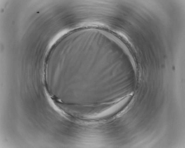 X0000087711038200706011805