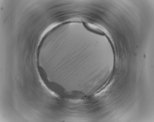 X0000087711045200706011805