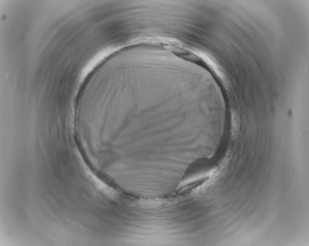X0000087711046200706011805
