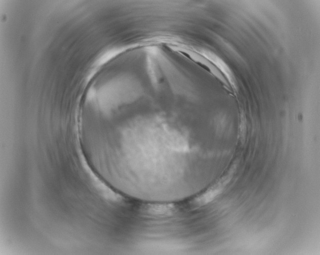 X0000087711055200706011805
