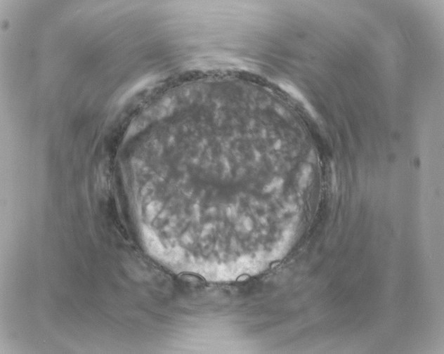 X0000087711063200706011804