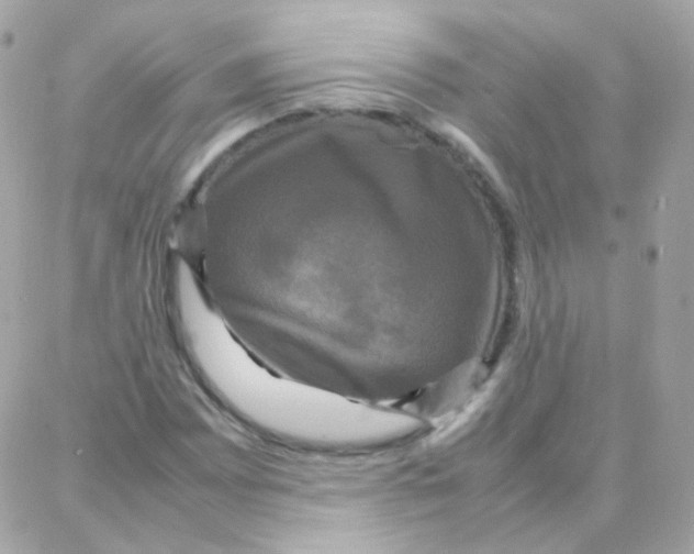 X0000087711065200706011804