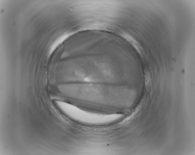 X0000087711069200706011804