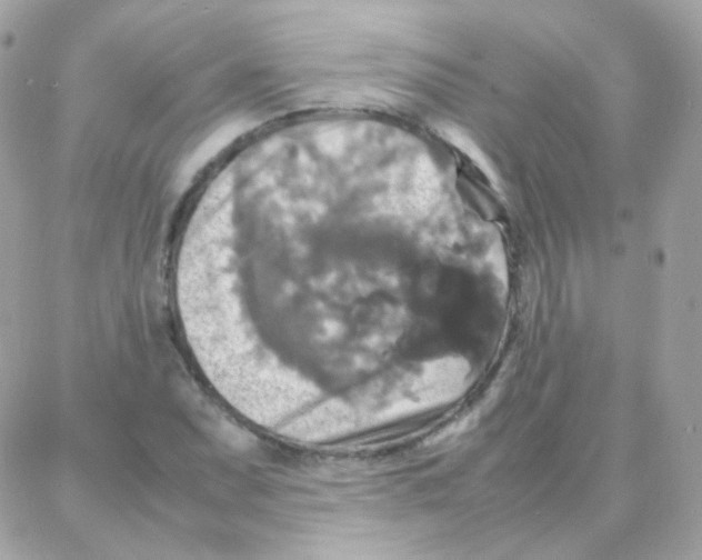 X0000087711071200706011804