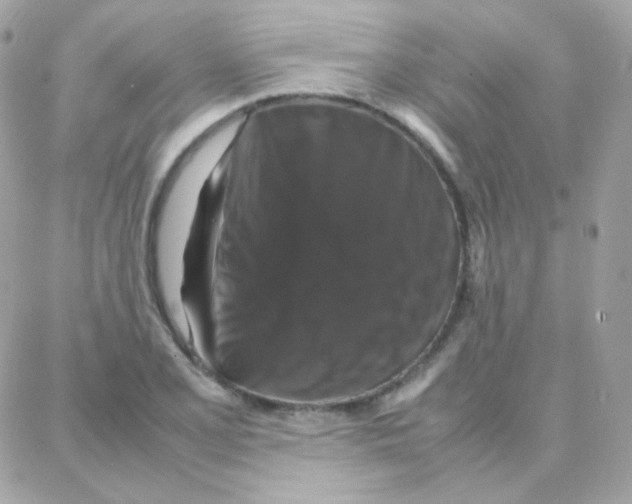 X0000087711077200706011804