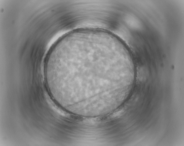 X0000087711078200706011804