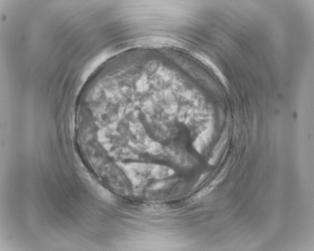 X0000087711083200706011804