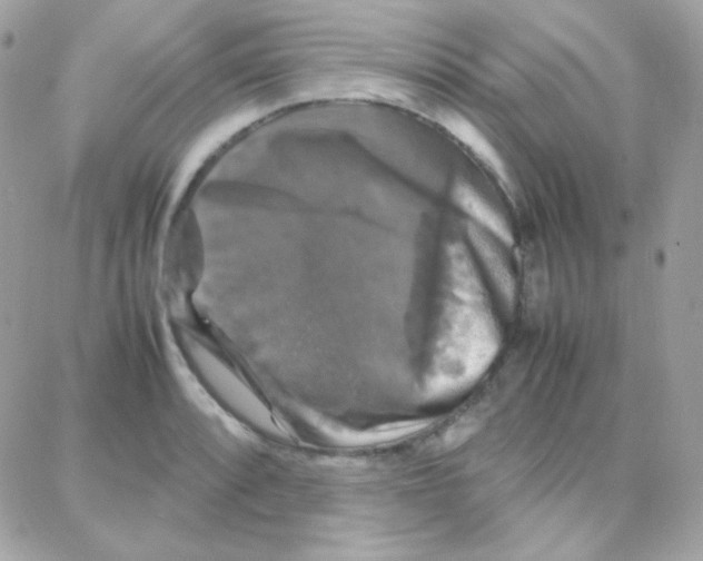 X0000087711088200706011804