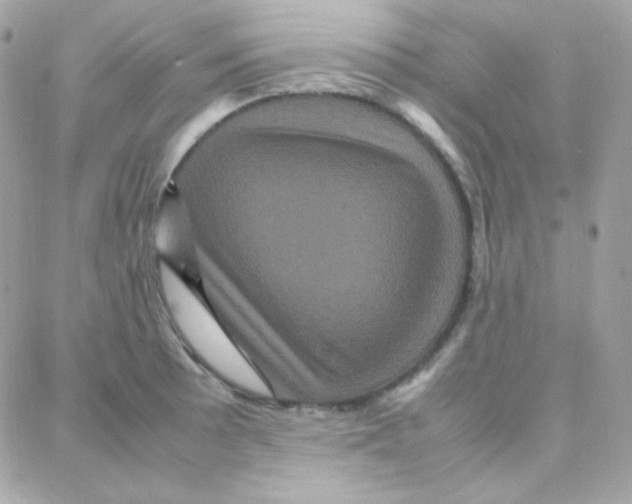 X0000087711089200706011804