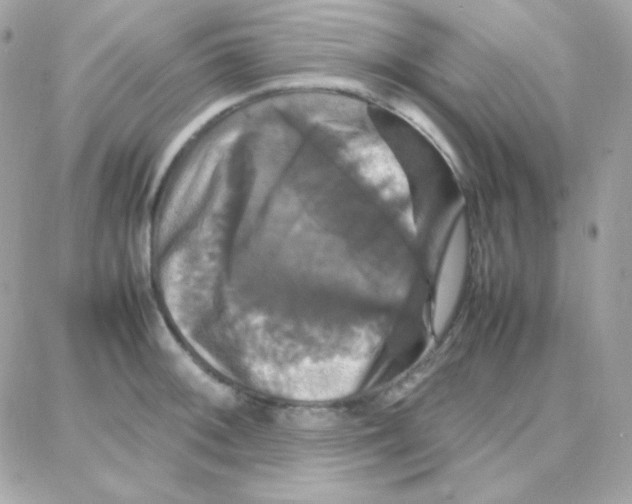 X0000087711092200706011803