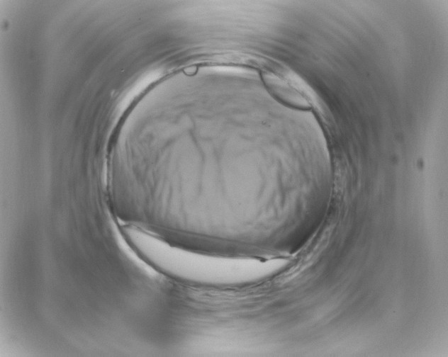 X0000087711095200706011803