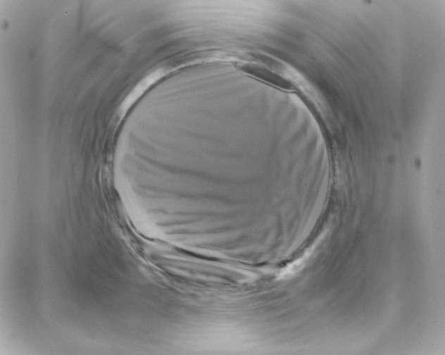 X0000087711097200706011803
