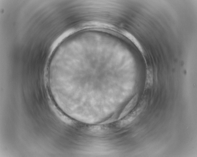 X0000087711098200706011803