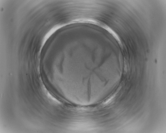 X0000087711102200706011803