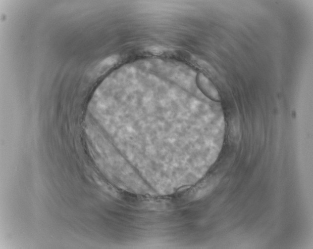 X0000087711105200706011803