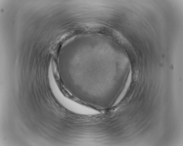 X0000087711108200706011803
