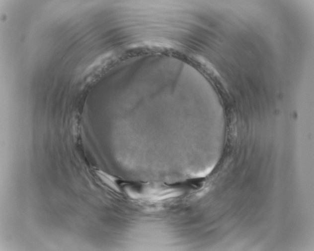 X0000087711110200706011803