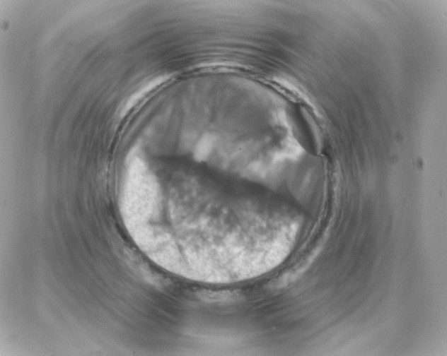 X0000087711121200706011803