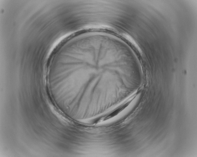 X0000087711124200706011803