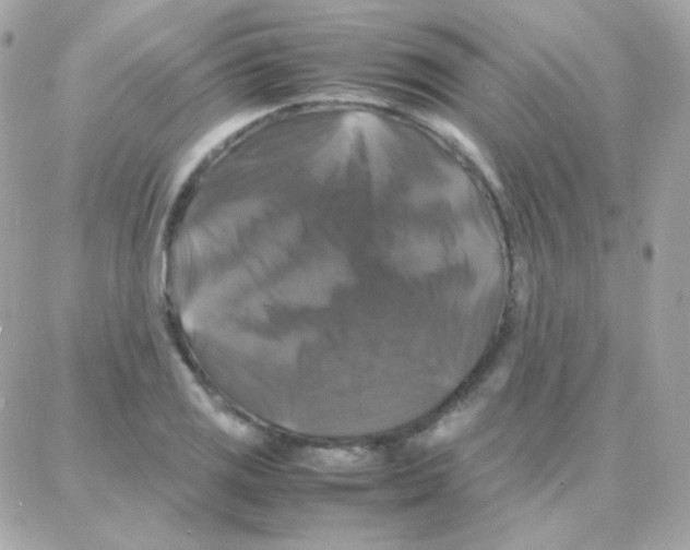 X0000087711125200706011803
