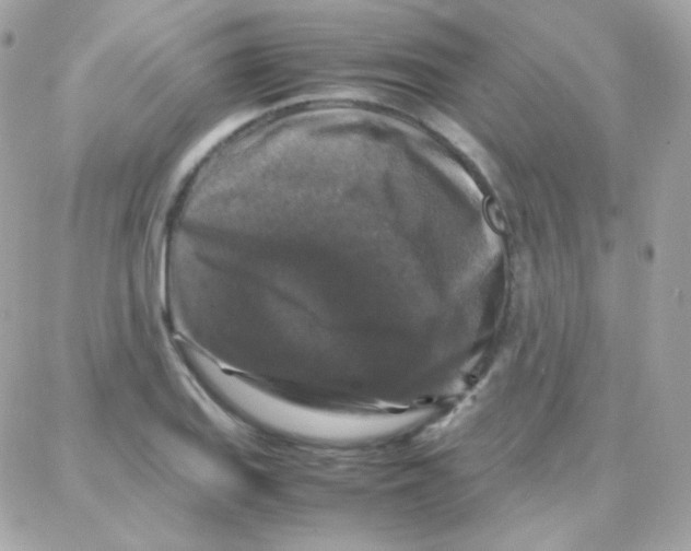 X0000087711127200706011803