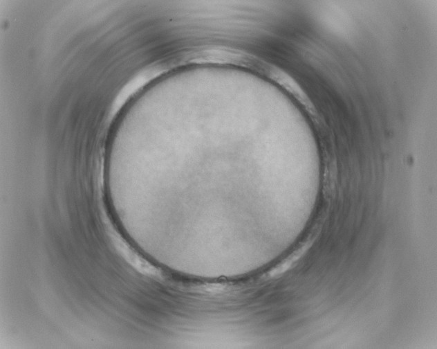 X0000087711130200706011803