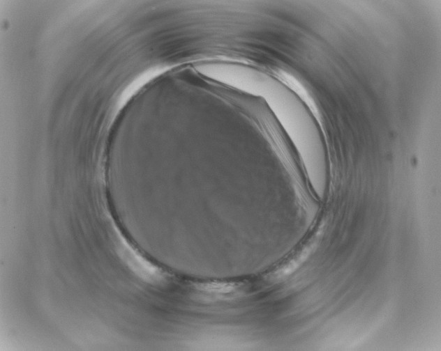 X0000087711141200706011803