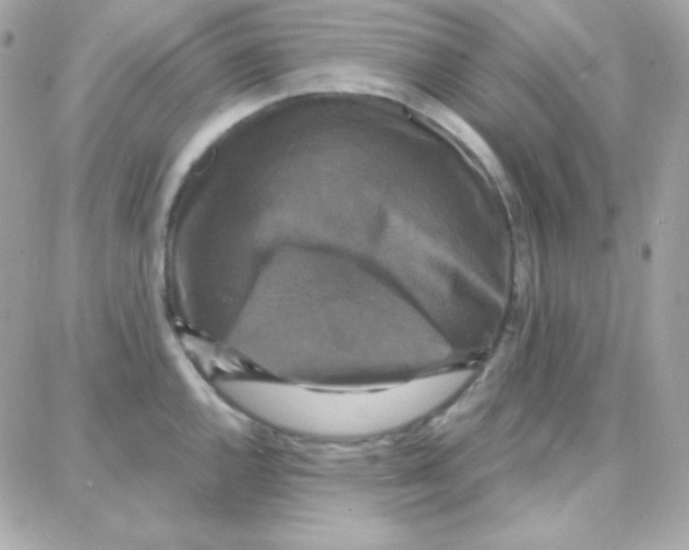 X0000087711144200706011803