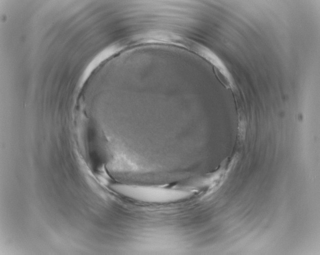 X0000087711146200706011803