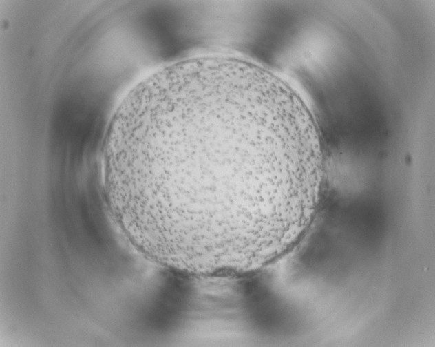 X0000087711150200706011803